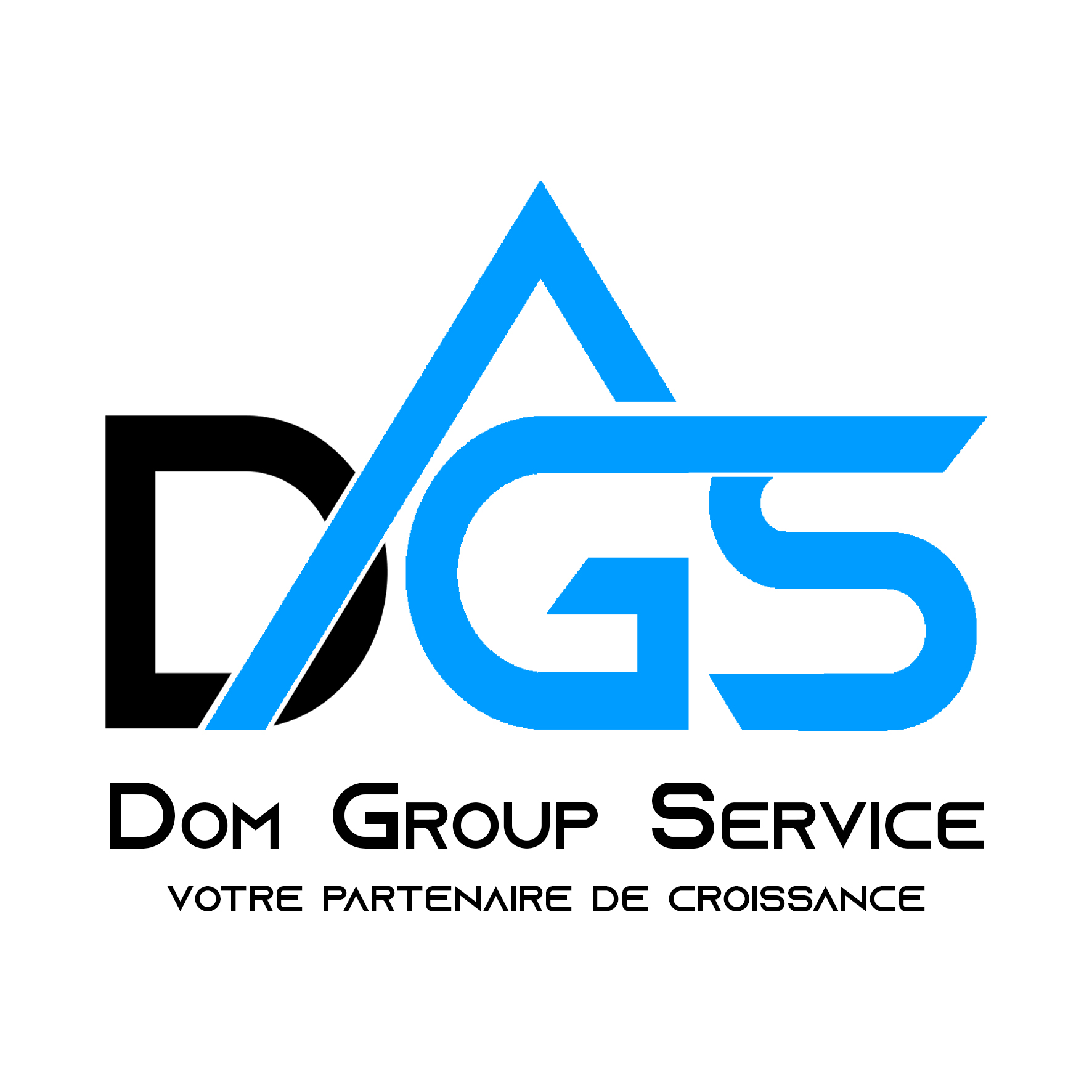 Dom Group